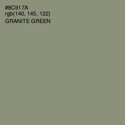 #8C917A - Granite Green Color Image